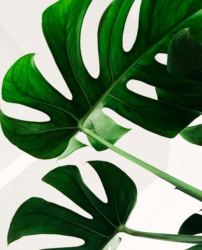 Our Practice - thetrilogymedspa.com